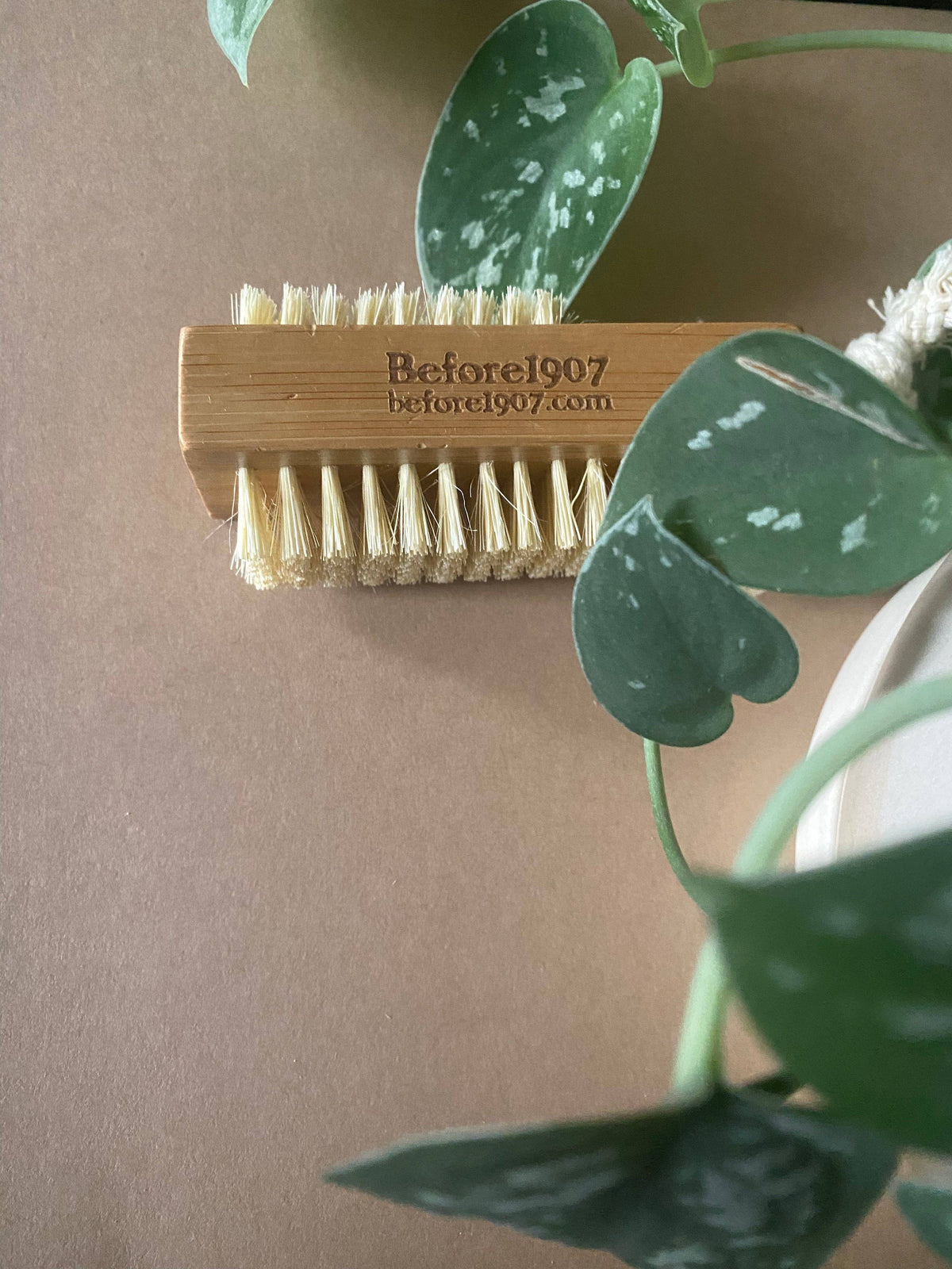 Natural Wood Nail Brush